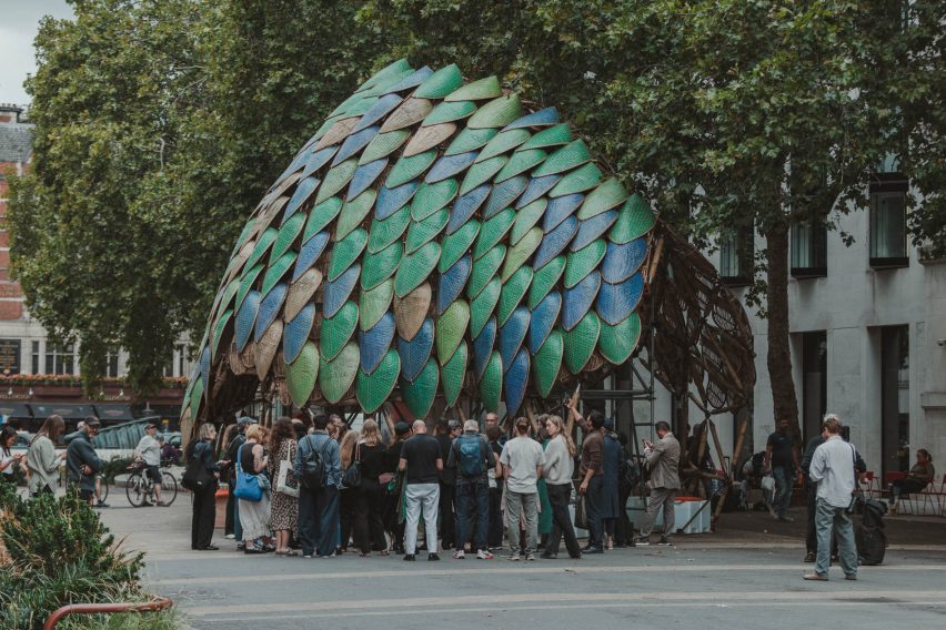The Pangolin Shield,