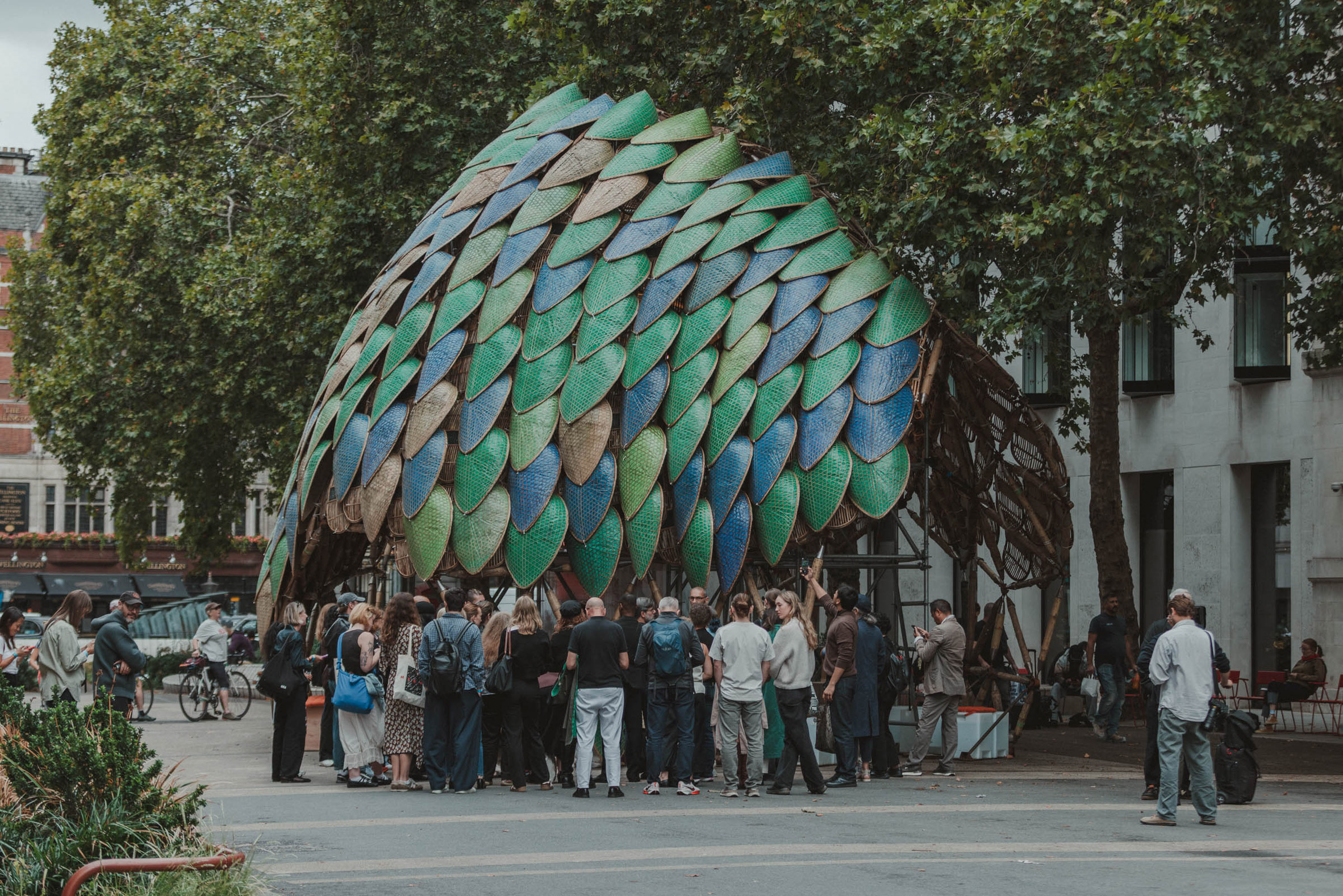 The Pangolin Shield,