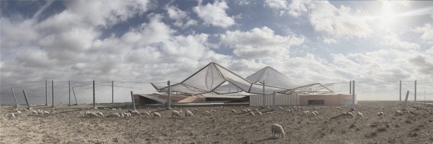 Subsidence – The Sunken Herd by Eda Samgul