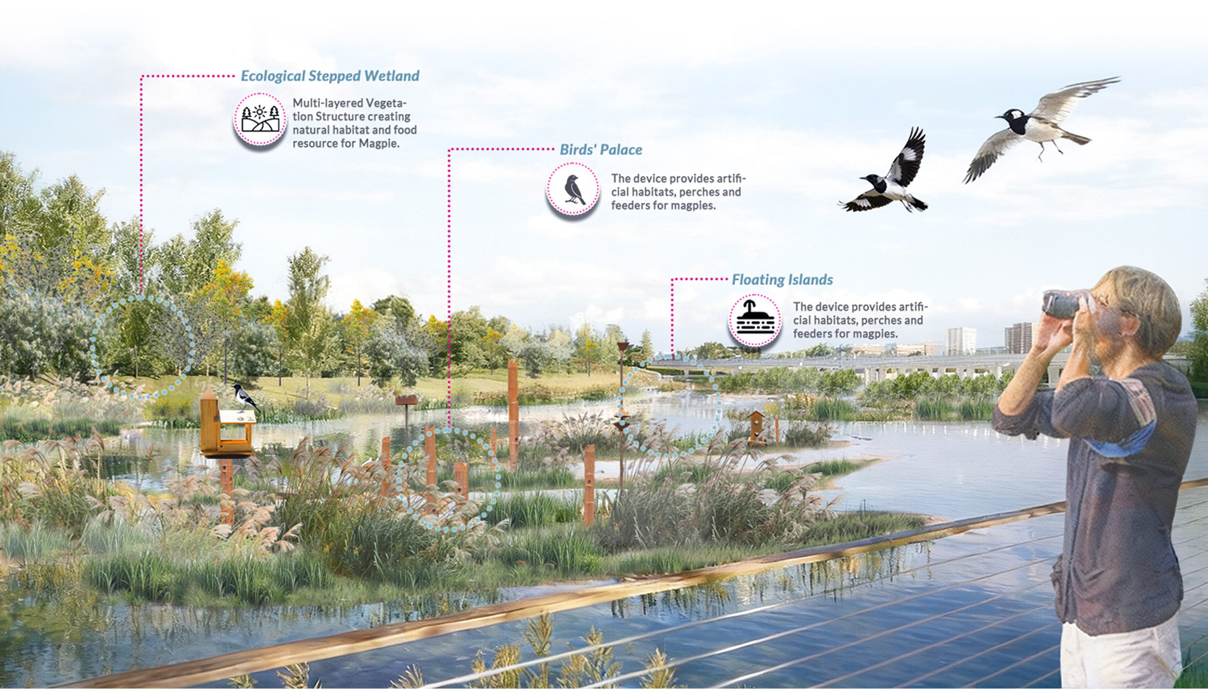 Wings and Ways: Human-magpie Harmony Safe Space for Arden &nbsp;by&nbsp;Wu Jinghan, Li Shuyuan and Cao Yuheng