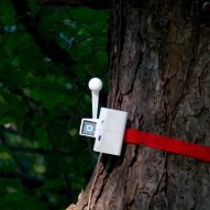 Knock on Wood
