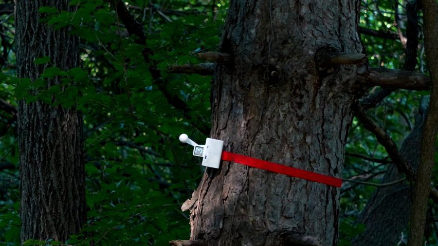 Knock on Wood
