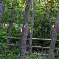 Knock on Wood