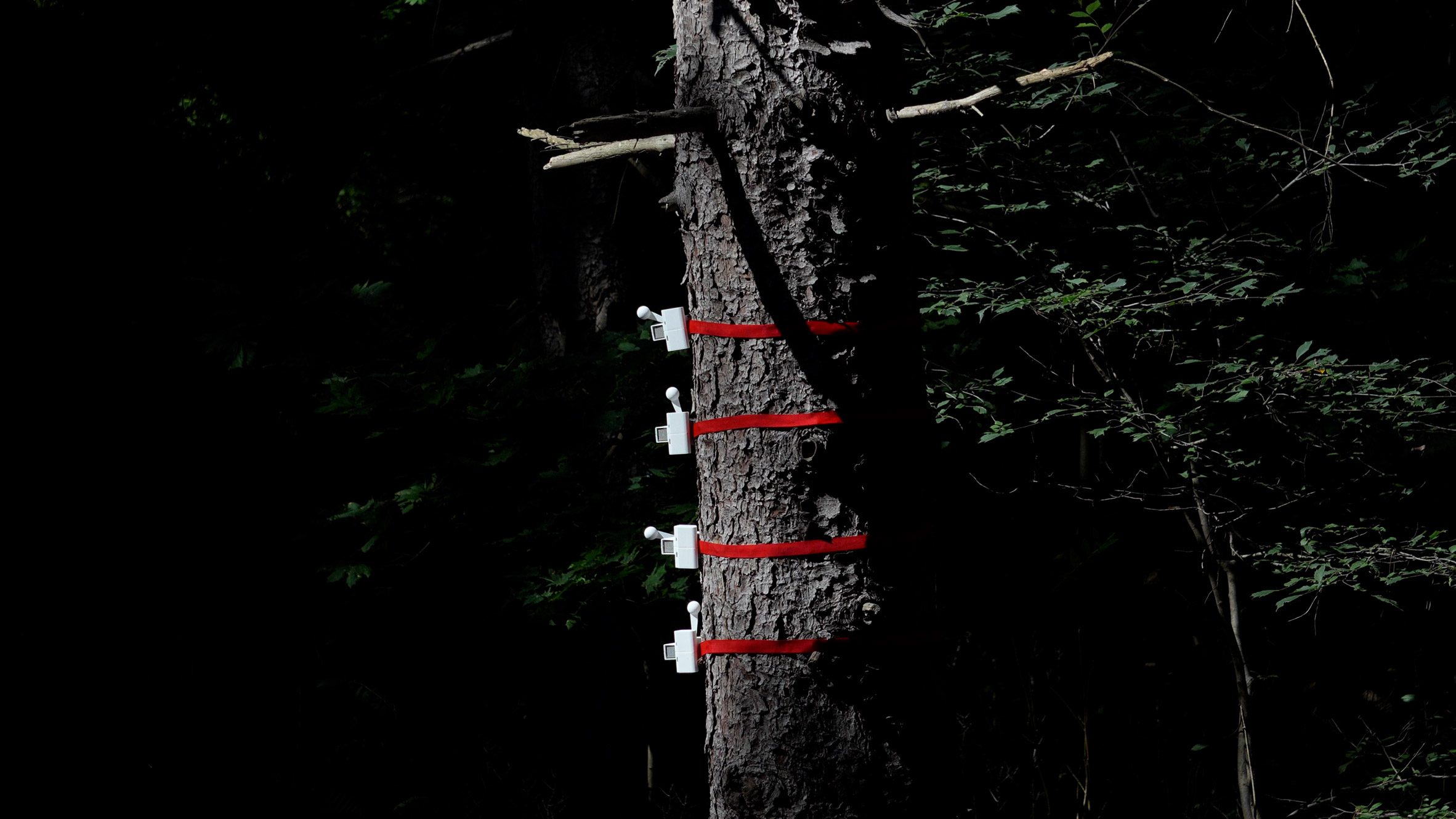 Knock on Wood