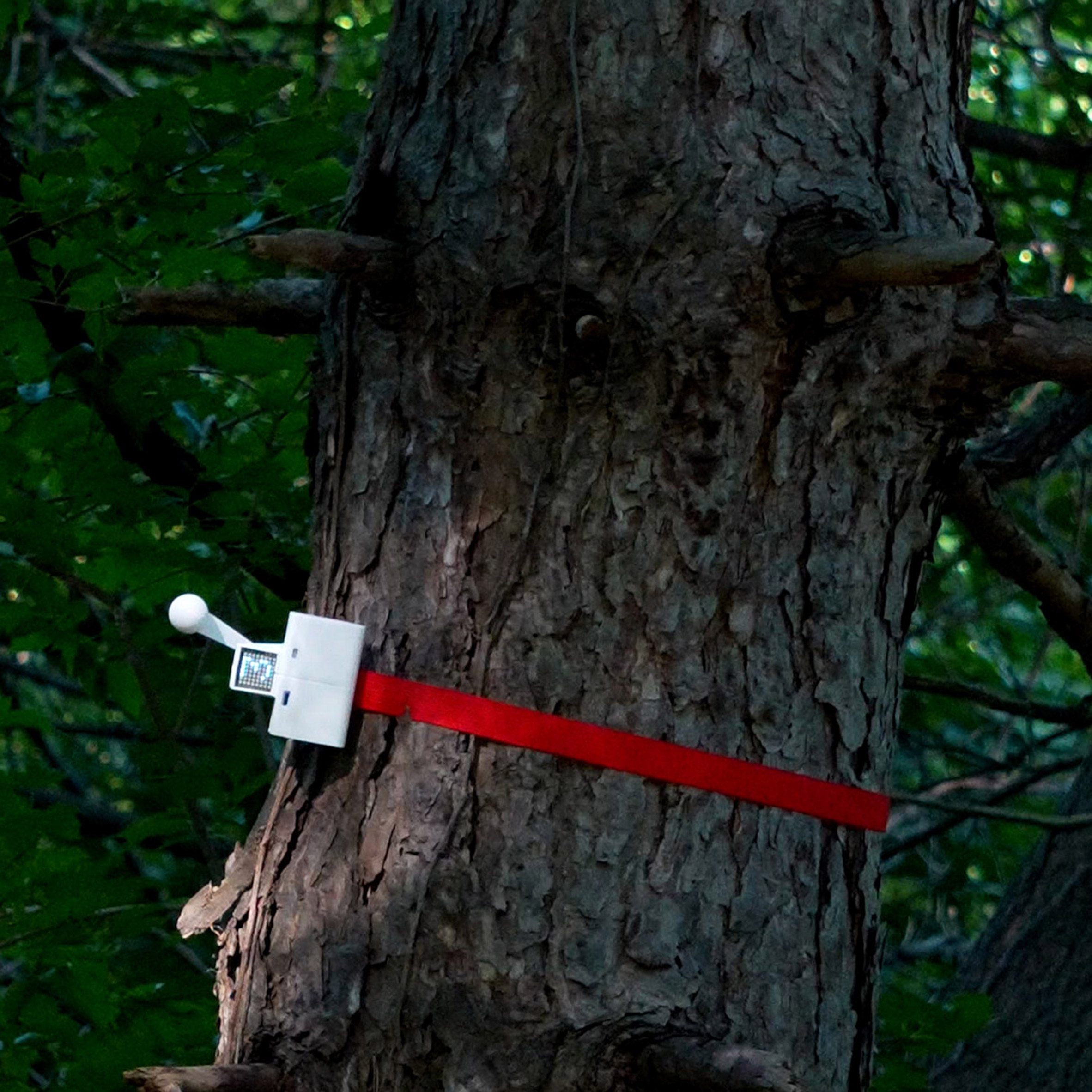 https://static.dezeen.com/uploads/2026/10/knock-on-wood-shashwath-santosh-nithin-eluvathingal_dezeen_2364_sq-1.jpg