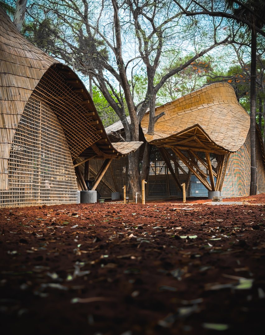 Bamboo building in Chennai