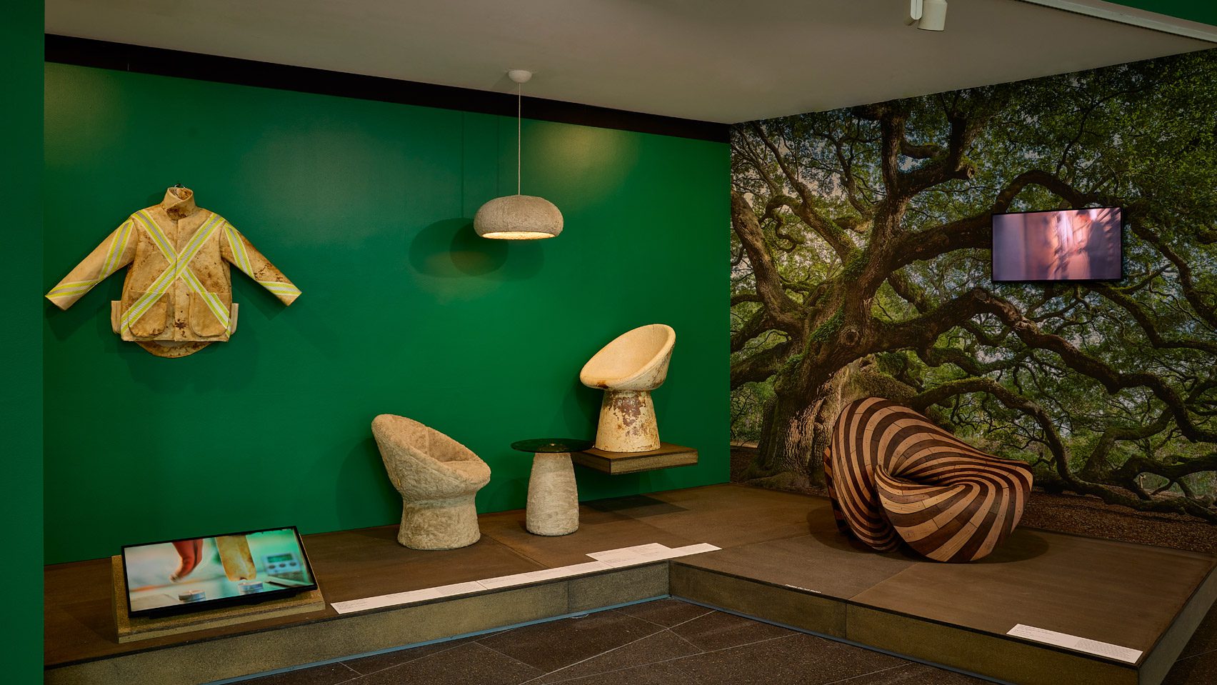 Plant Life exhibition imagines a future where 