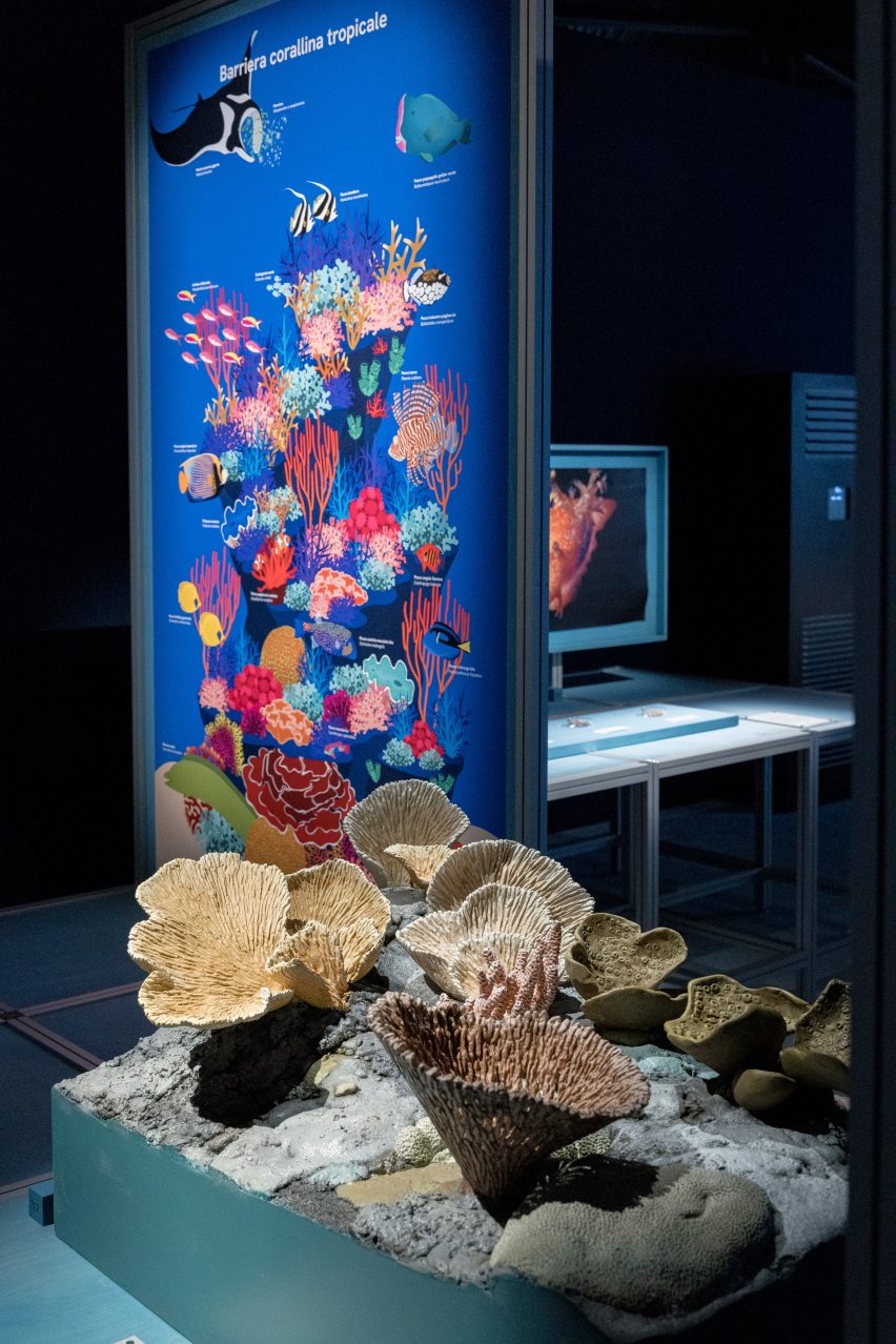 Lifelike coral reef