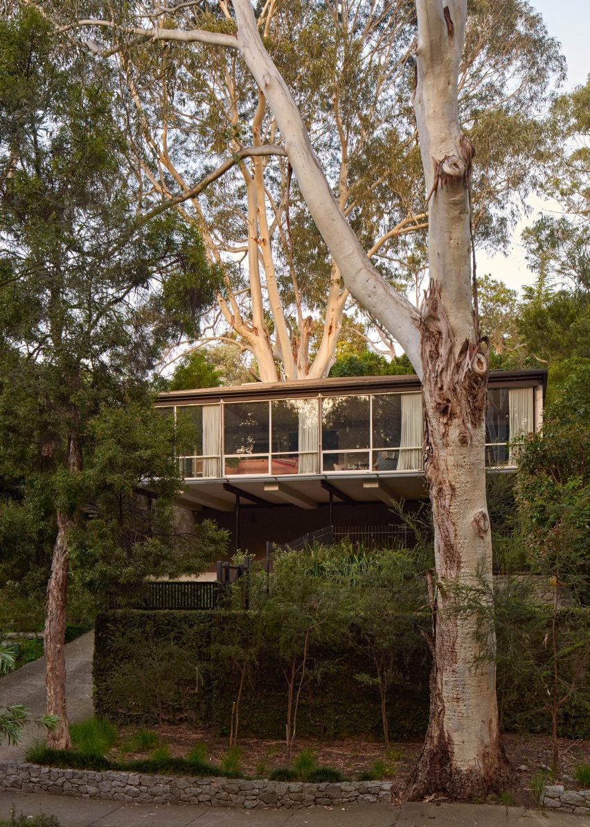 The glass-walled Guss House in Kew